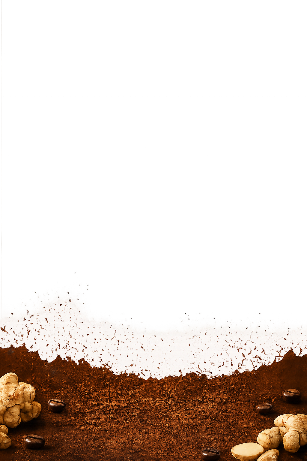 Ginger Spices